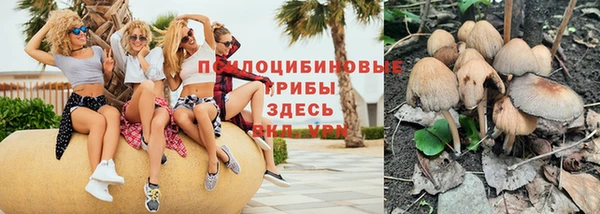 дурь Алексин